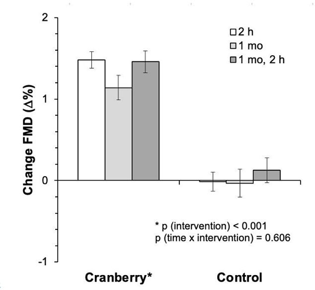 Graph showing change in flow-mediated dilatation (FMD) - a measure of the width of an artery - in men after eating cranberries for a month (left) compared to those who took a placebo (right)