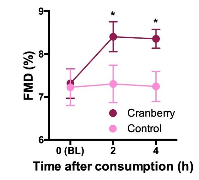 Research conducted by King's College London found that eating 100g - about a cup - of berries every day improved the width of their arteries by 1.1% over the course of a month compared to a control group.  The graph shows: Flow mediated dilatation (FMD) - the number of arteries that were able to dilate as a result of increased blood flow - in men after eating 100 g of cranberries (burgundy) compared to those who took placebo (pink) for four hours.