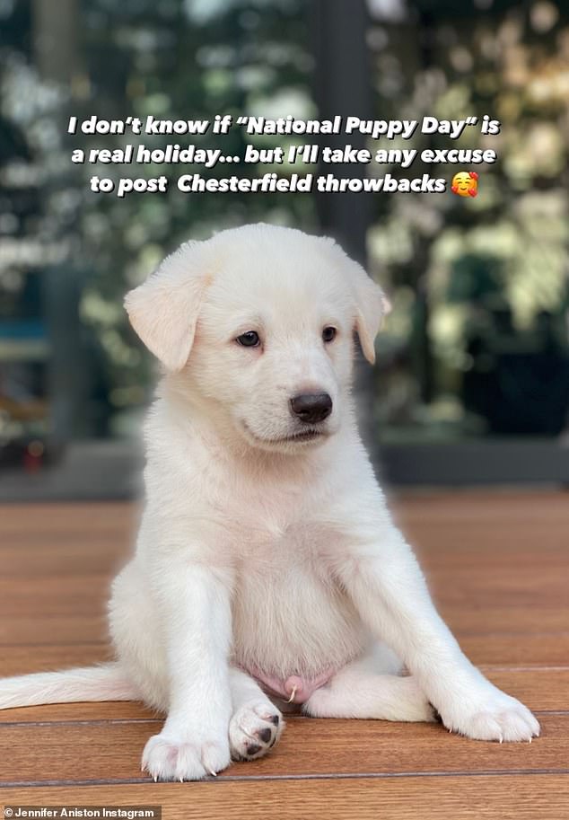 Heartfelt tenderness: The Friends veteran was generous with her photos as she gave followers a glimpse of her dog Lord Chesterfield as a fluffy white puppy