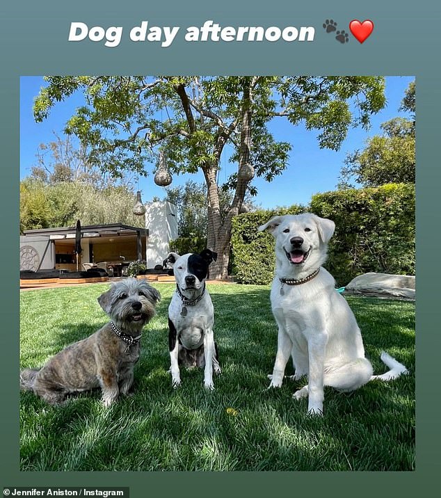 Her buddies: Aniston has a photogenic fur family that she's proud of.  A year ago, she shared a look at all three of her four-legged friends from the backyard of her stunning Bel Air, California mansion.