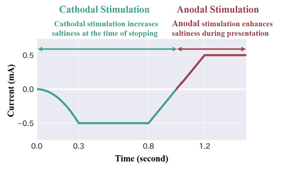 Representation of the electrical stimulation waveform used. 