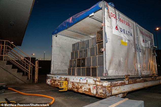 Millions of bees were left on a pavement in the Georgia sun after a shipment from California to Alaska was diverted to Georgia