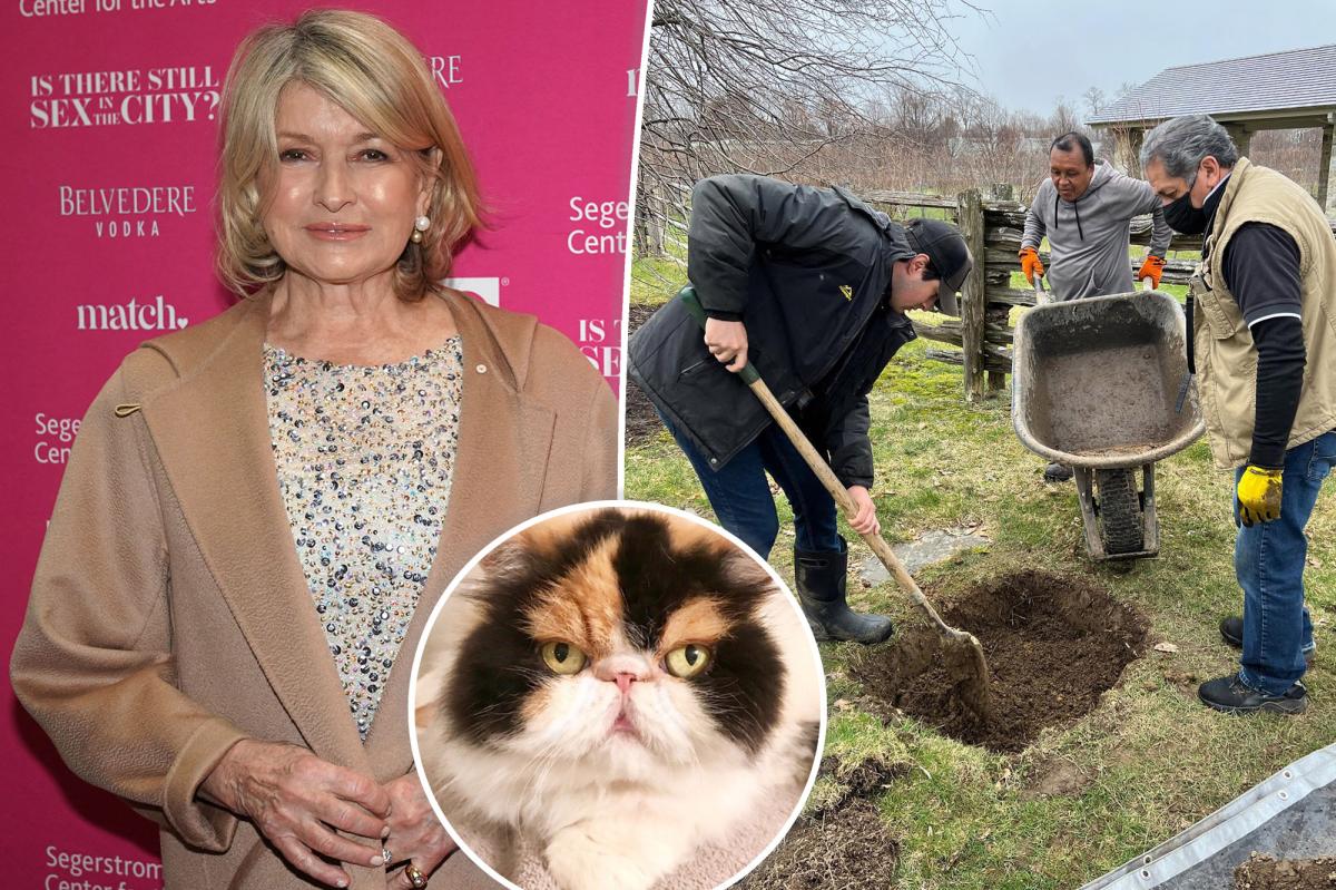 Martha Stewart's Four Dogs Mistakenly Kill A 'defenseless' Cat - S ...