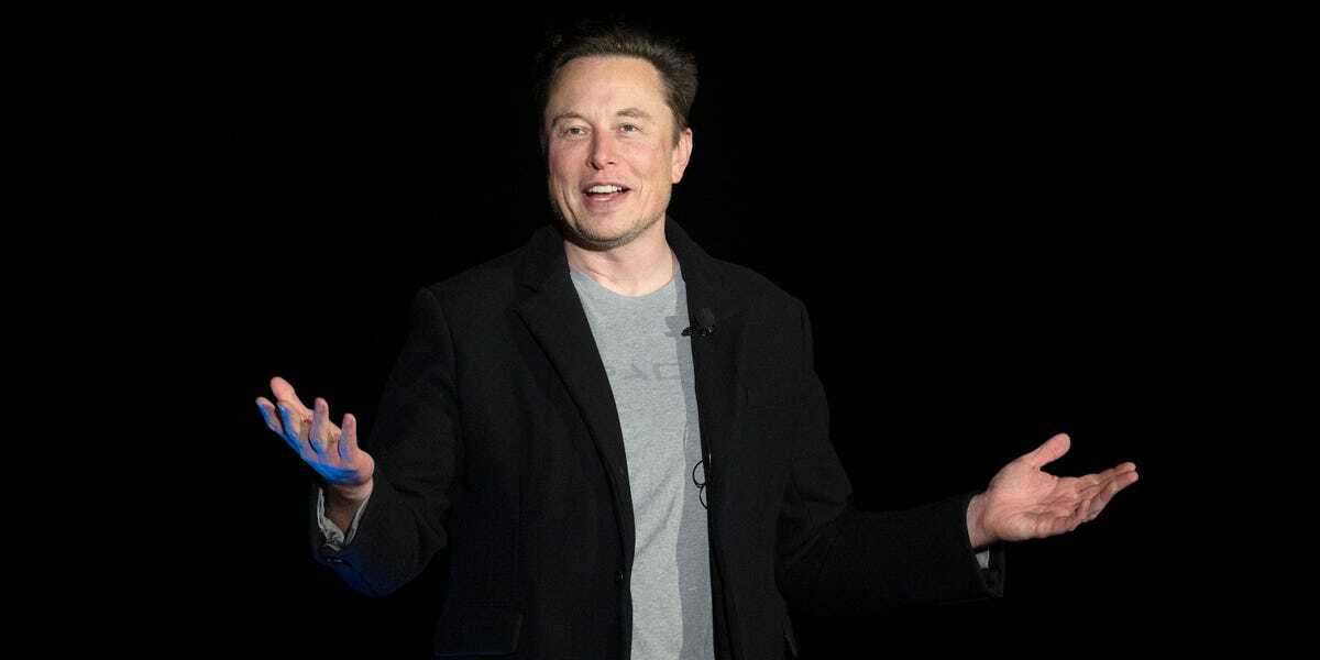 Researcher Says Elon Musk Owns Twitter Data Incompatible With Democracy