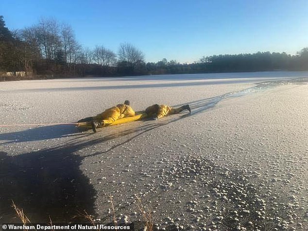 In the town of Wareham, Massachusetts, the local fire department performed the heroic rescue of a dog that fell through the ice on the town's Bartlett Pond