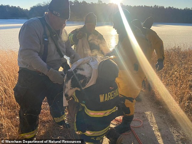 The dog, Dakota, was about 150 feet from shore, the department said on Facebook