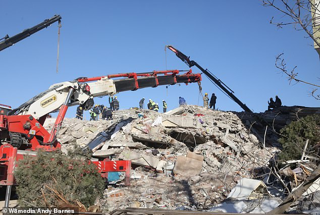 At least six excavators and a heavy crane lifted debris and loaded it onto a fleet of waiting trucks