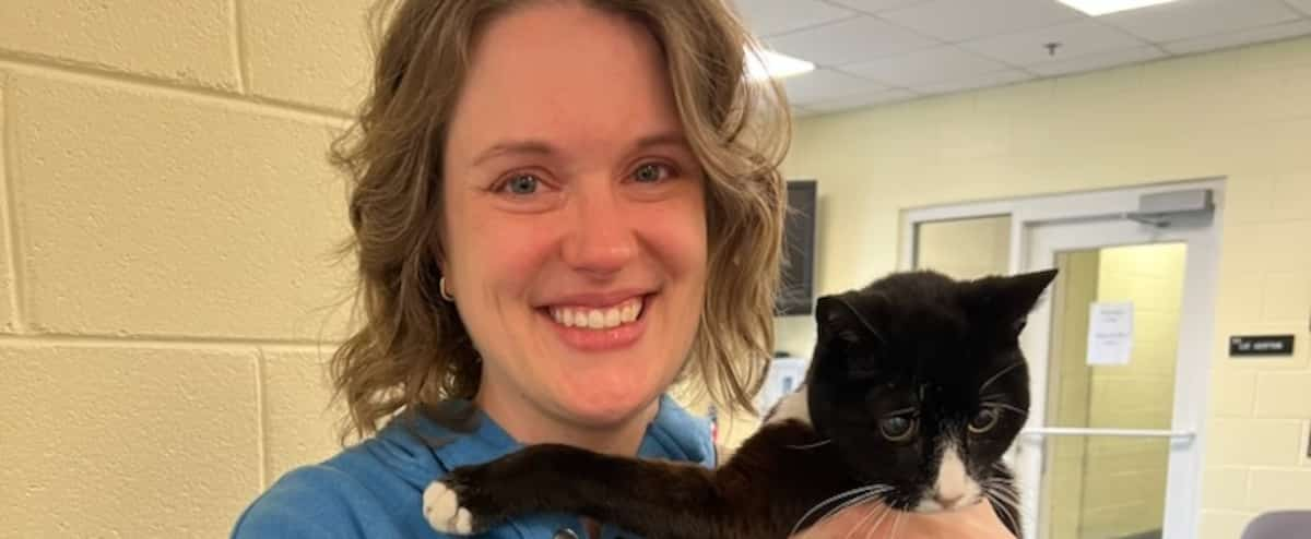 Thanks to her microchip she finds her lost cat after