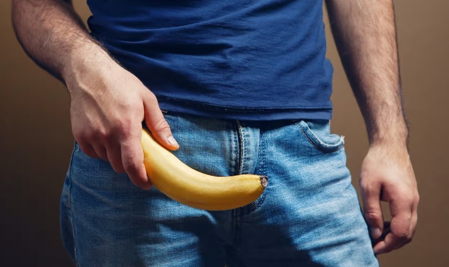 The human penis has increased in size by 24 in