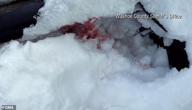 Blood-soaked snow reveals the horrific accident that occurred near Renner's home in Lake Tahoe, Nevada