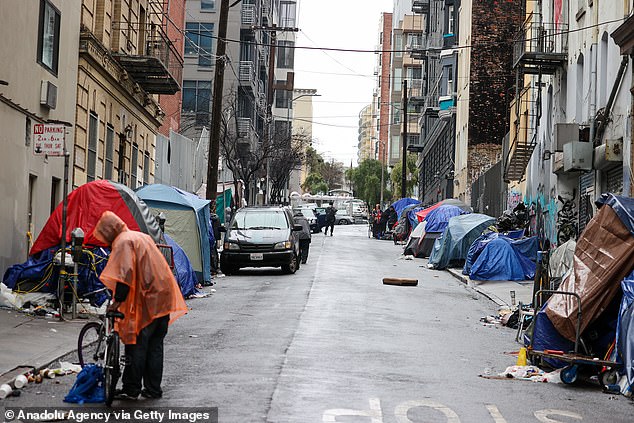 Newsom's budget includes $3.7 billion for various programs aimed at moving the homeless off the streets into shelters.  Pictured: San Francisco homeless camp in January
