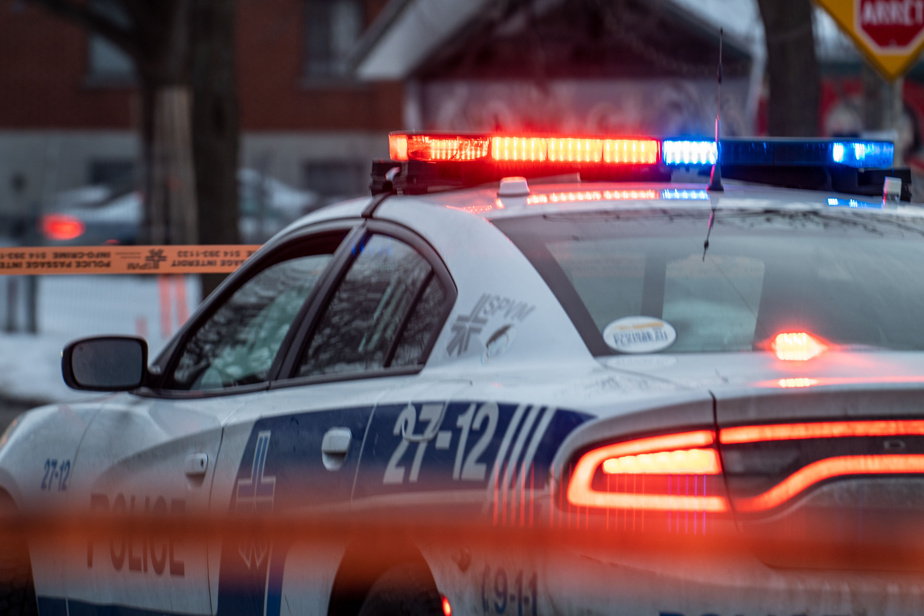 Eight arrests and two firearms confiscated this week in Montreal