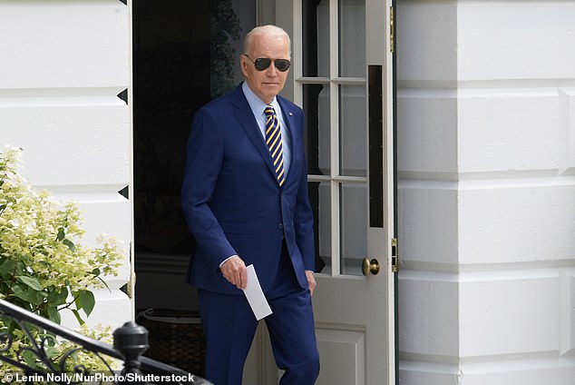 The New York Times reported Friday that advisors were told during strategy meetings that the Bidens have six grandchildren - not seven