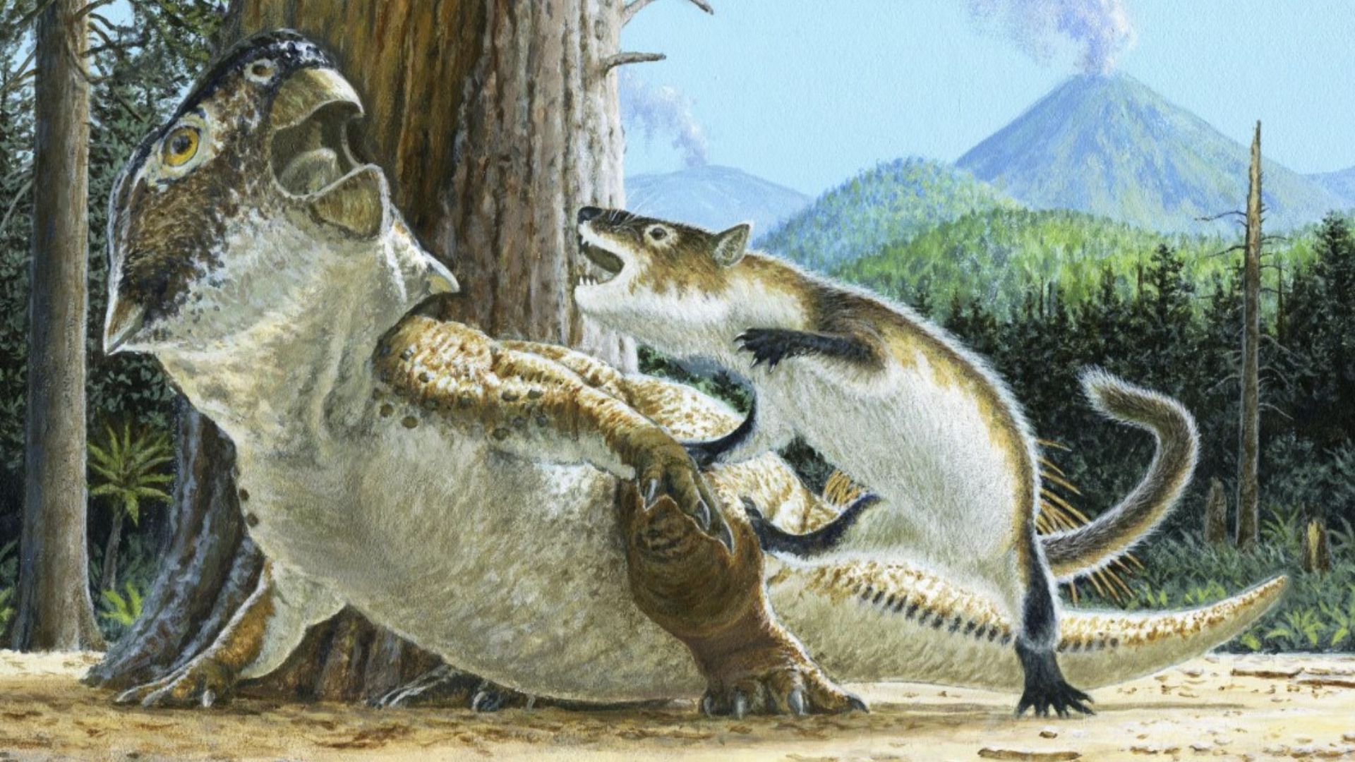 Mammals may have hunted dinosaurs for their dinner Noovo