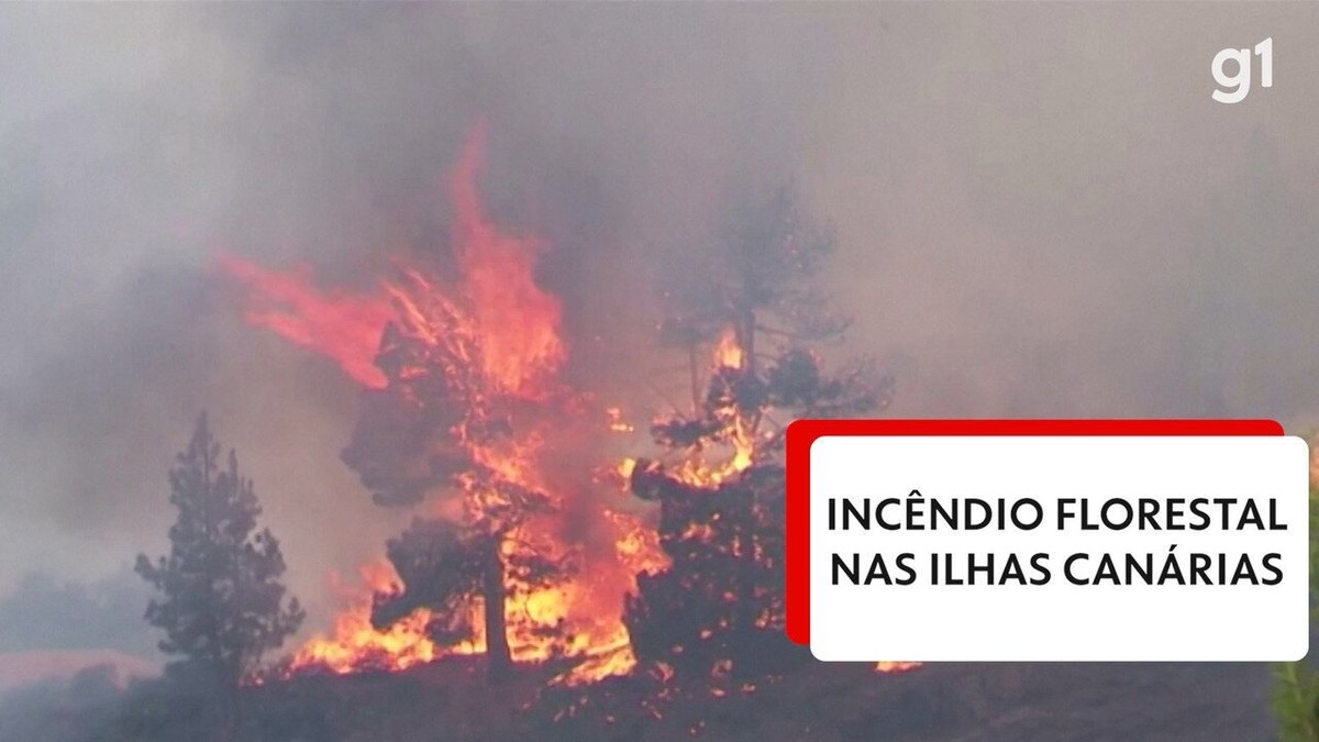 The Canary Islands in Spain have been hit by fires