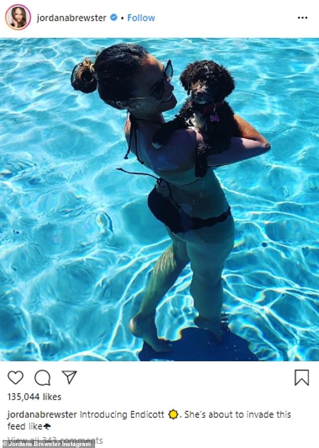 Meet Endicott: The actress adopted Endicott in May 2020 and announced the news to her fans in an Instagram post that consisted of a single photo of her and the pup at a swimming pool