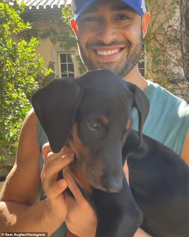 Puppy love: Her estranged husband Sam Asghari appeared to include the family dog ​​in the split