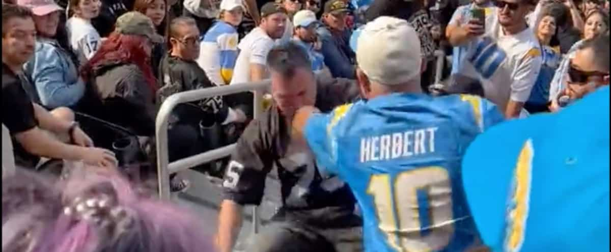 Lots of violence in the stands during an NFL game