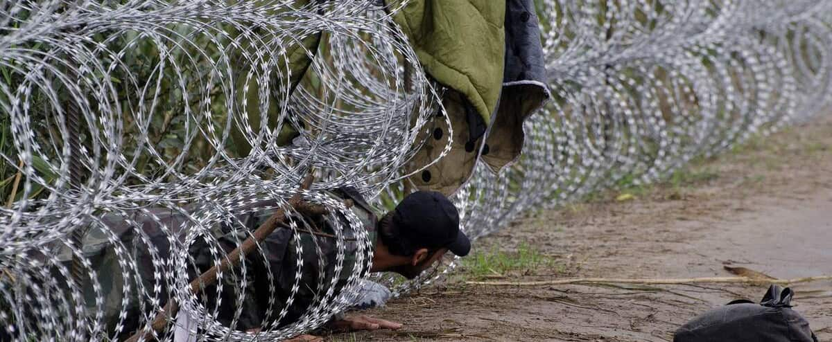 Three migrants killed in shooting near Serbia Hungary border