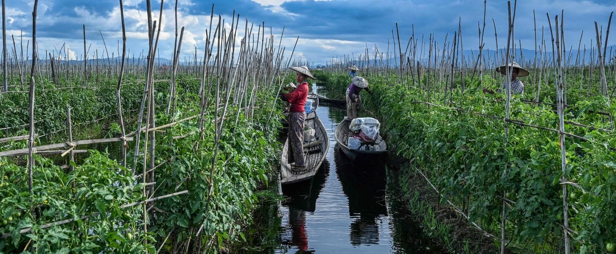 1699969250 A lake in Burma flooded with floating farms