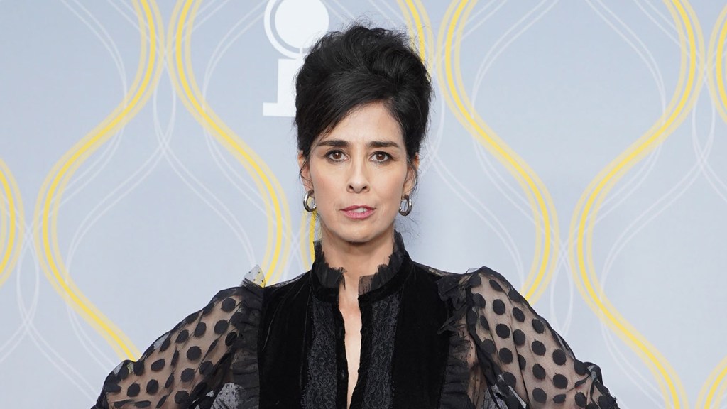 Sarah Silverman Hits A Stumbling Block In AI Copyright Infringement ...