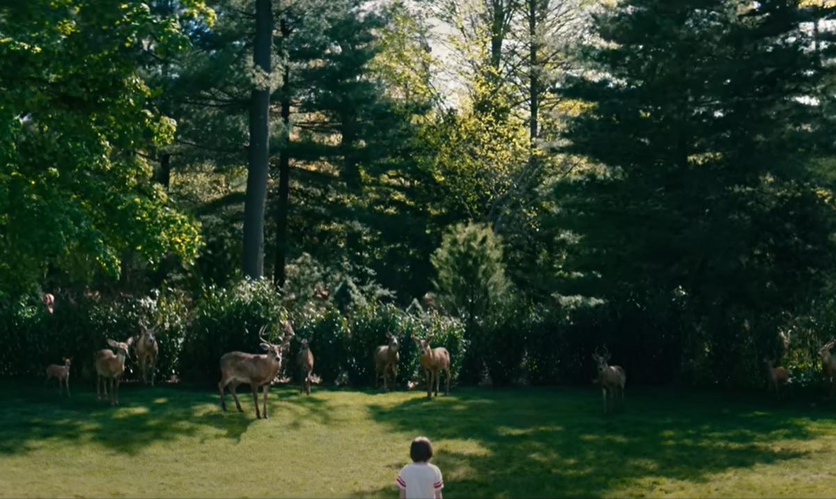 the-meaning-of-deer-in-the-film-leave-the-world-behind