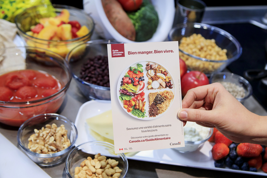 Canada39s food guide may be less suitable for seniors