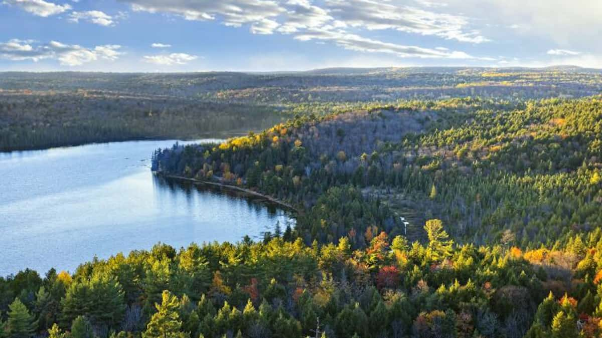 1707989967 New conflict between Quebec and Ottawa over tree planting